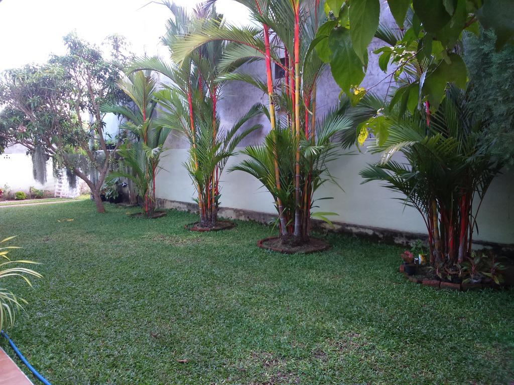 Illumination Stay Negombo Exterior foto